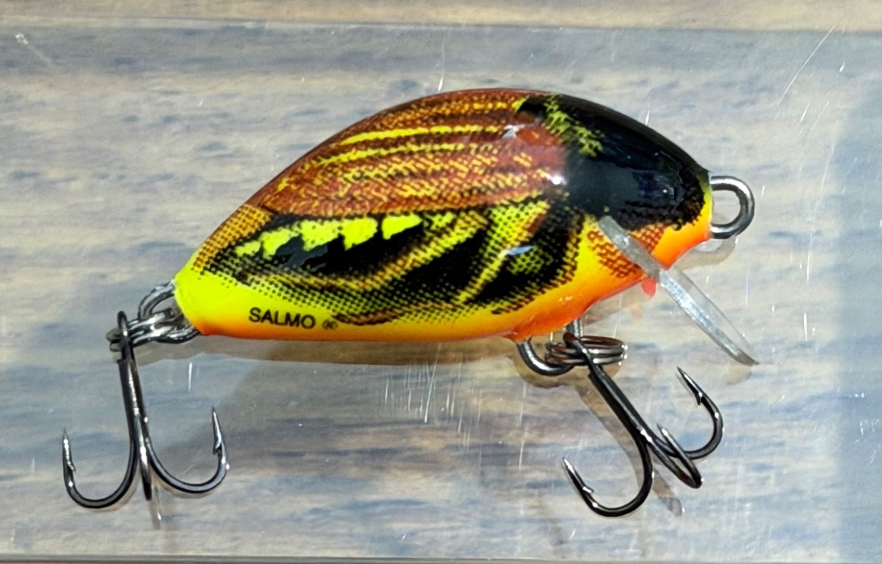 Köder: Salmo Floating Tiny 3 (Maikäfer-Wobbler) - 3 cm 2 gr – Neu und originalverpackt aus Widnau von Fishingtackle_Oggy