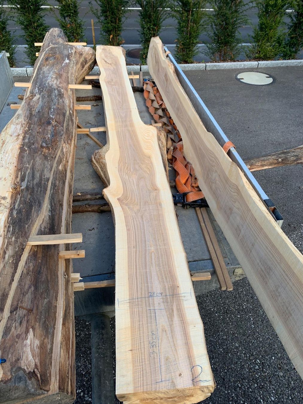Articoli in legno: Ulmen Bretter – Nuovo (secondo la descrizione) da Lotzwil venduto da gia_bn2w 4