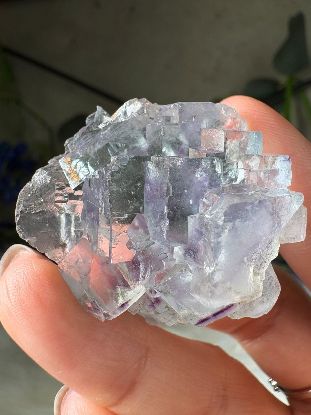 Minerali & Pietre curative: Yaogangxian Fluorit – Nuovo (secondo la descrizione) da Neuheim venduto da m.hald 6