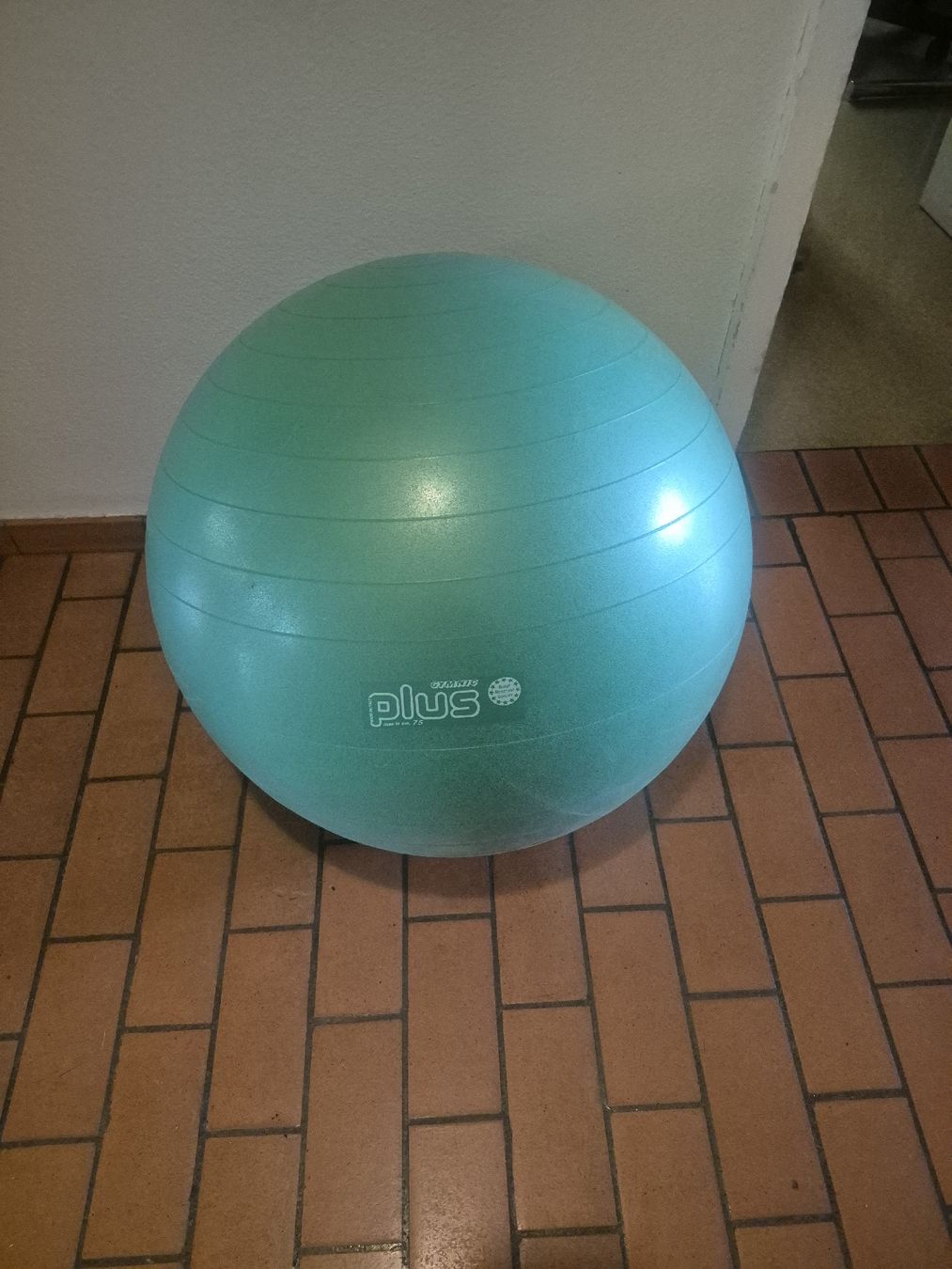 Bälle: Gymnastik Ball / Sitzball – Gebraucht aus Bern von san_kcw5