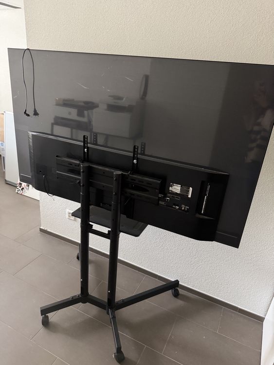 TLG OLED65BX6LB – 65 Zoll OLED TV (defekt!!) (Defekt) in Rothrist für ...