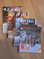 4x Pferdemagazine Cavallo/Kavallo/Pferd & Wagen