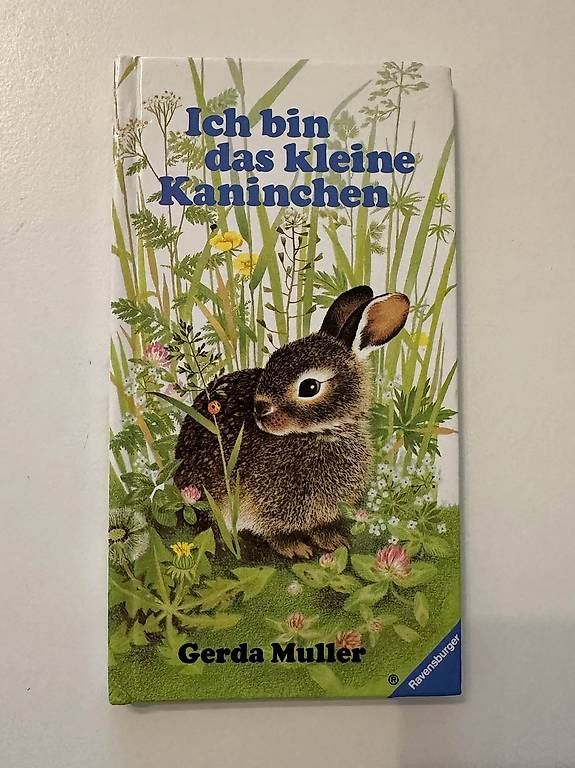 Livres: Mini-Buch: Ich bin das kleine Kaninchen – D'occasion à Sursee par LadyMonaco