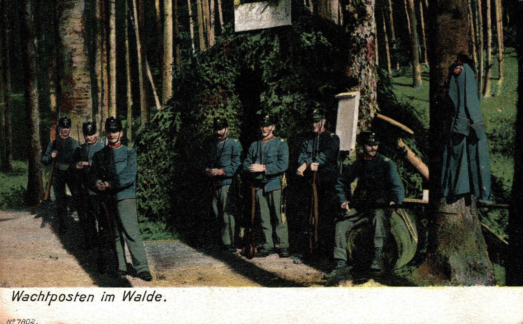 Ansichtskarten: Wachtposten im Walde – Gebraucht aus Bronschhofen von Astore