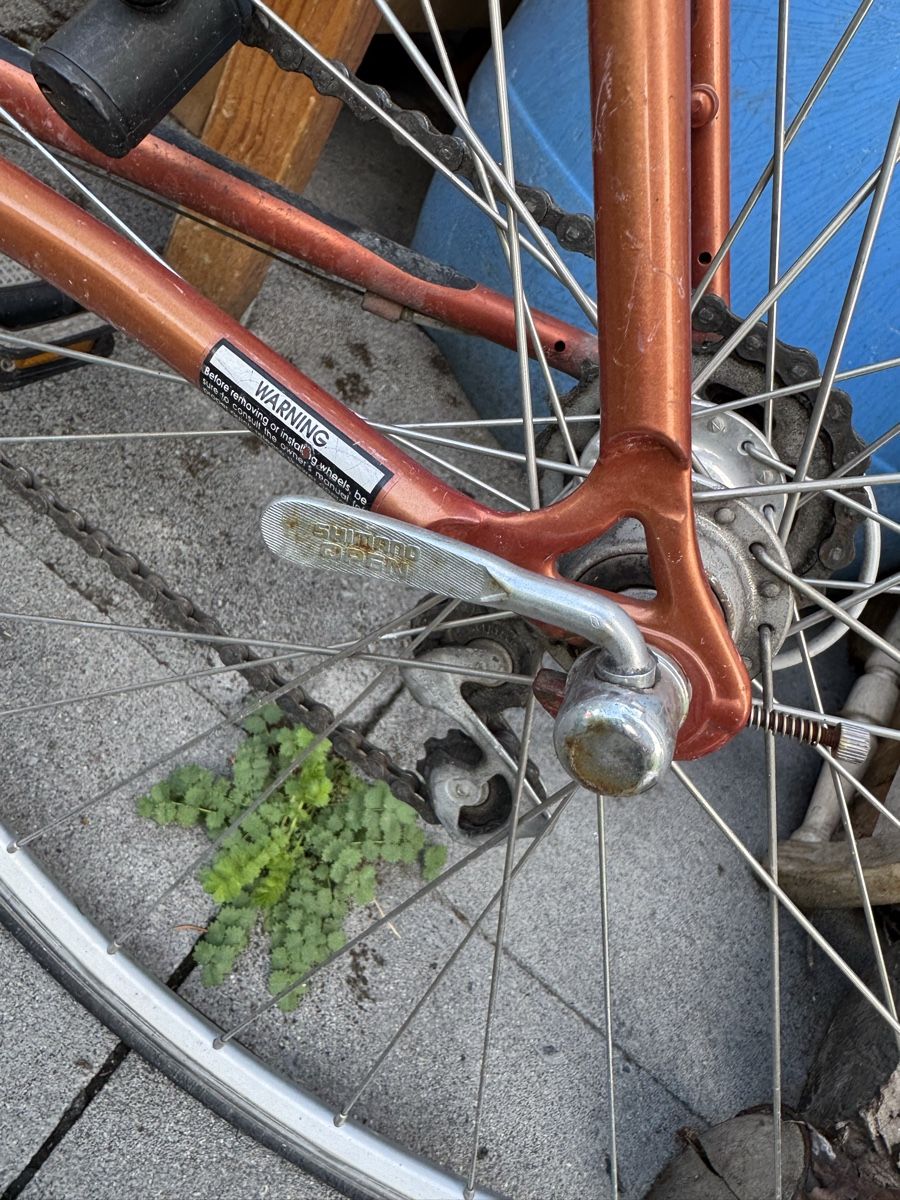 GT Biciclette: GT Force Rennrad – Usato da Trübbach venduto da s-a-t 3