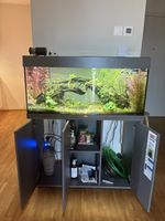 Juwel Aquarium Rio grau 180l