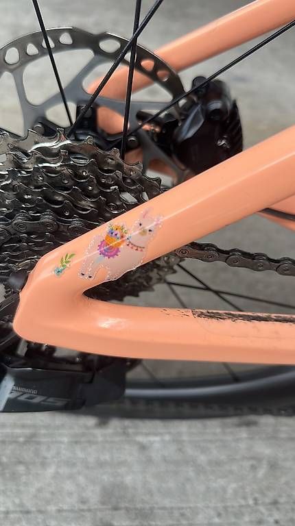 Vélos: Rennrad – D'occasion à Landiswil par ele_vs6f 3