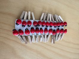 kleineWäscheklammern mit Marienkäfer Motiv 19 Stk.