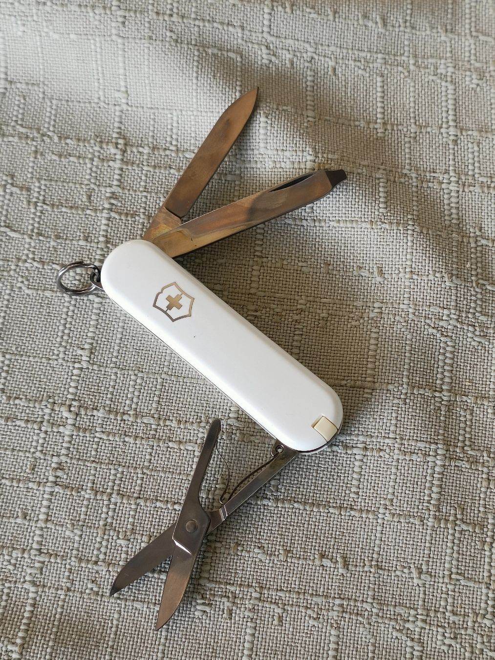 Victorinox Coltelli tascabile: Sackmesser Victorinox / W&W mit original Verpackung  – Nuovo (secondo la descrizione) da Brugg AG venduto da Ente015 3