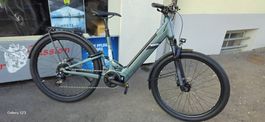 E-Bike tiefensteig fully