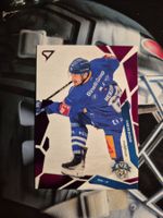 Fabrice Herzog EV Zug 2025/26 Sportzoo 2 Pink