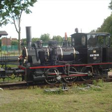 Profile image of Wodli