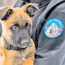 Profile image of Hizz