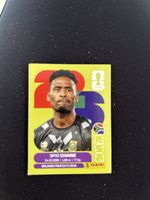 Panini RSA 3