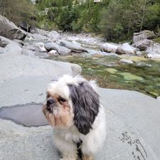 Profile image of Cruisy