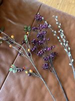 Beeren, Hagebutte, Palmkätzchen