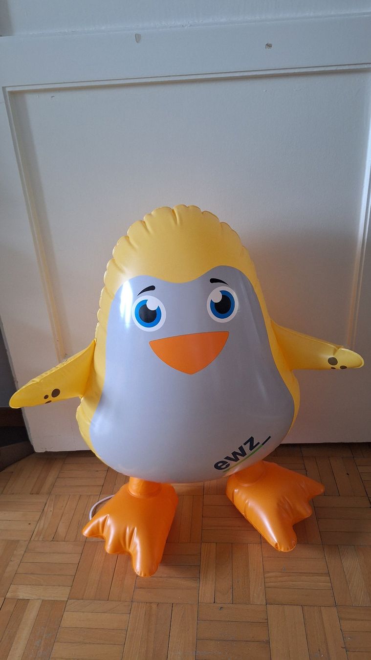 Schwimmringe: Schwimmhilfe Pinguin vom Limmatschwimmen – Gebraucht aus Zürich von Meikefer81