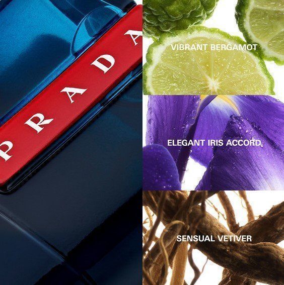 Prada Profumi & Eau de Toilette: PRADA Luna Rossa Ocean EDT, 5ml Abfüllung ... – Nuovo e nell'imballaggio originale da Chur venduto da Papageibarsch77 4