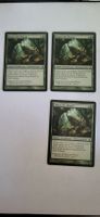 MTG - Augen des Wisent