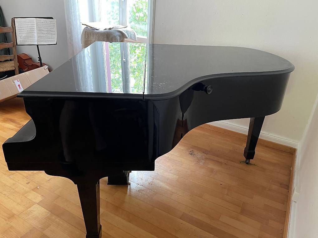 Strumenti musicali: Schwarzer Flügel Petrof – Usato da Münchenstein venduto da Aubacca 4