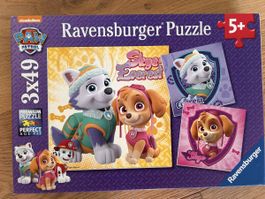 Ravensburger Paw Patrol Puzzle 3x49 Stück
