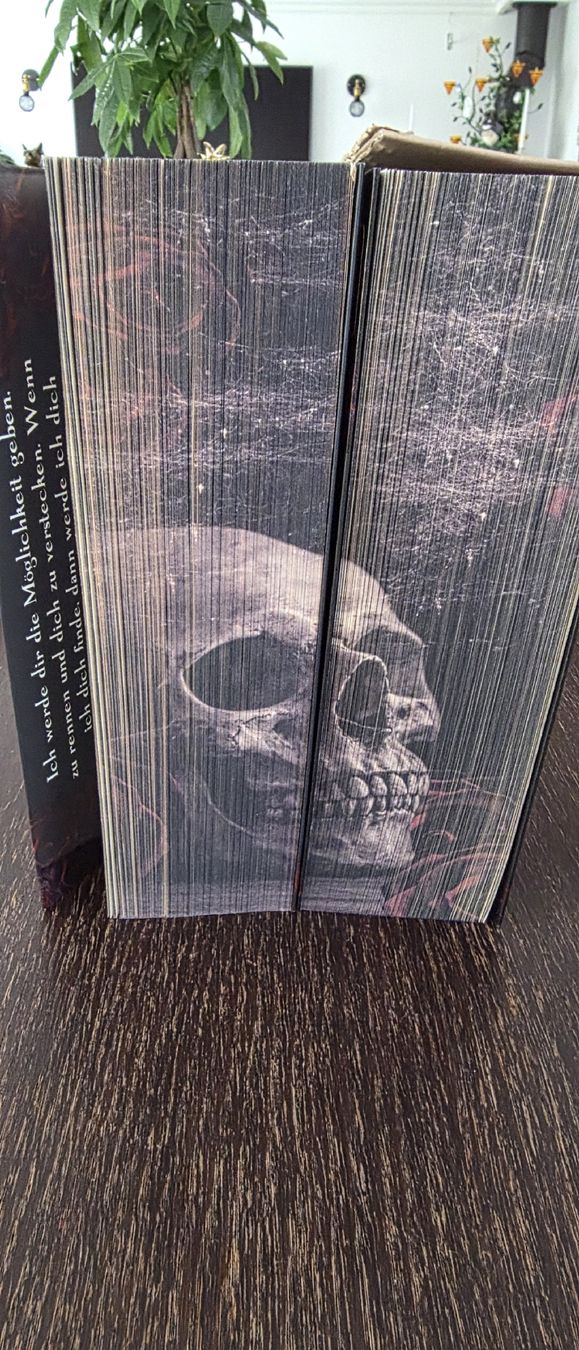 Libri: Haunting Adeline Band 2 DE Dark Romance – Nuovo e nell'imballaggio originale da Ellikon an der Thur venduto da Ribbeli 6