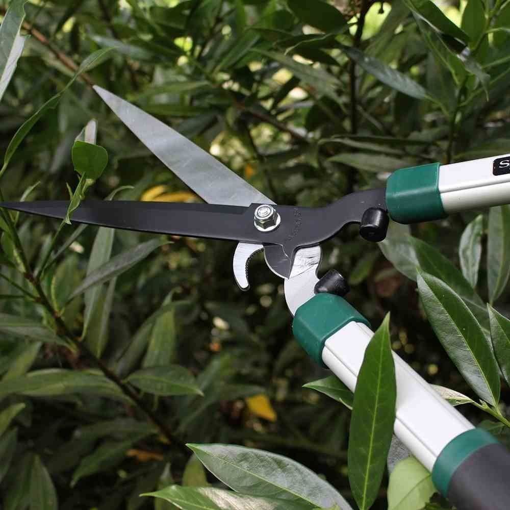 Tutti gli attrezzi: SIENA Pro Alu Heckenschere mit Astabschneider – Nuovo e nell'imballaggio originale da Kägiswil venduto da nick333 2