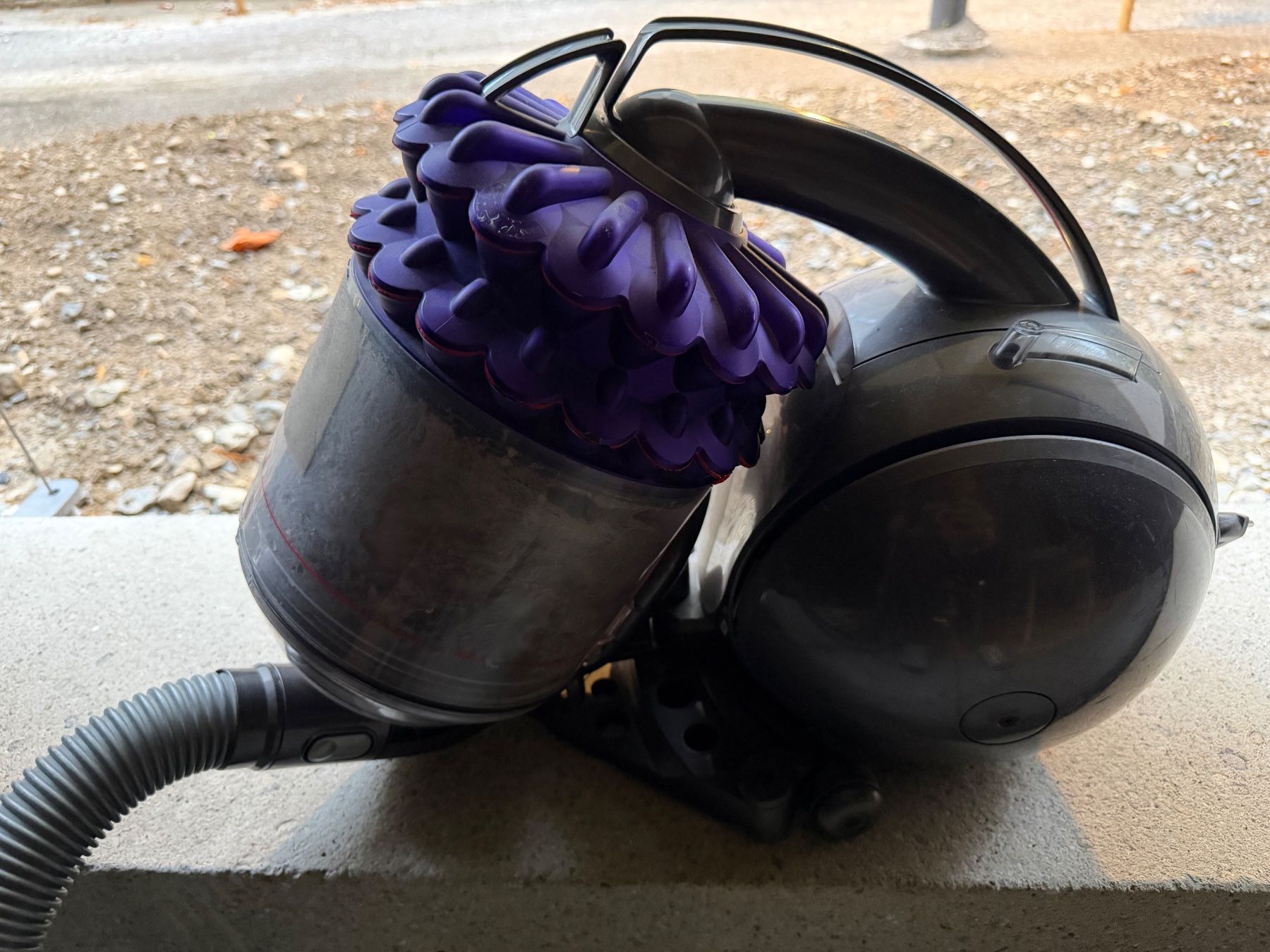 Dyson Aspirapolveri & Accessori: Dyson DC52 – Usato da Zürich venduto da Dani8057 1