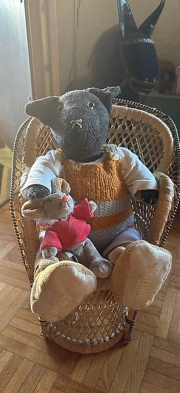Spielzeuge: Teddy – Gebraucht aus Kaufdorf von per_5khy