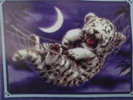 Leopard sur hamac  20252 points de croix