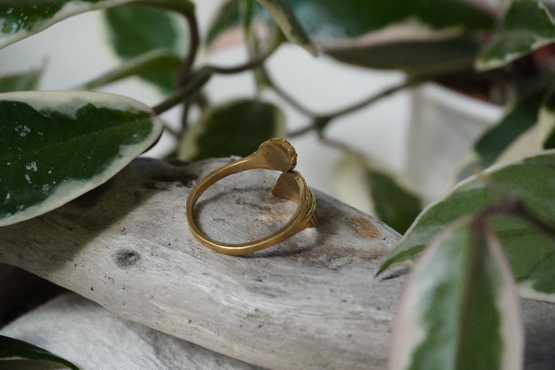 Ringe: Messing Ring Blätter - Neu – Neu (gemäss Beschreibung) aus Heerbrugg von R.St27 2