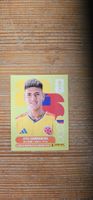 Fifa World Cup Panini COL 16