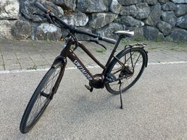 E-Bike /Specialized Turbo Vado 4.0 / Grösse M/ guter Zustand