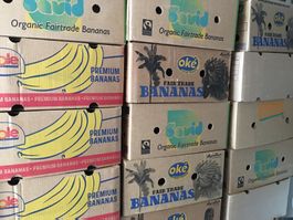 Bananenschachtel (mehrere vorhanden)