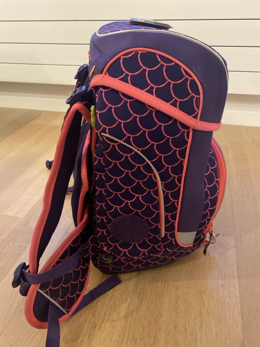 Ergobag Borse & Zaini: Ergobag Schulrucksack: Das perfekte Geschenk für Schulkinder – Usato da Wald ZH venduto da Seller_8 2