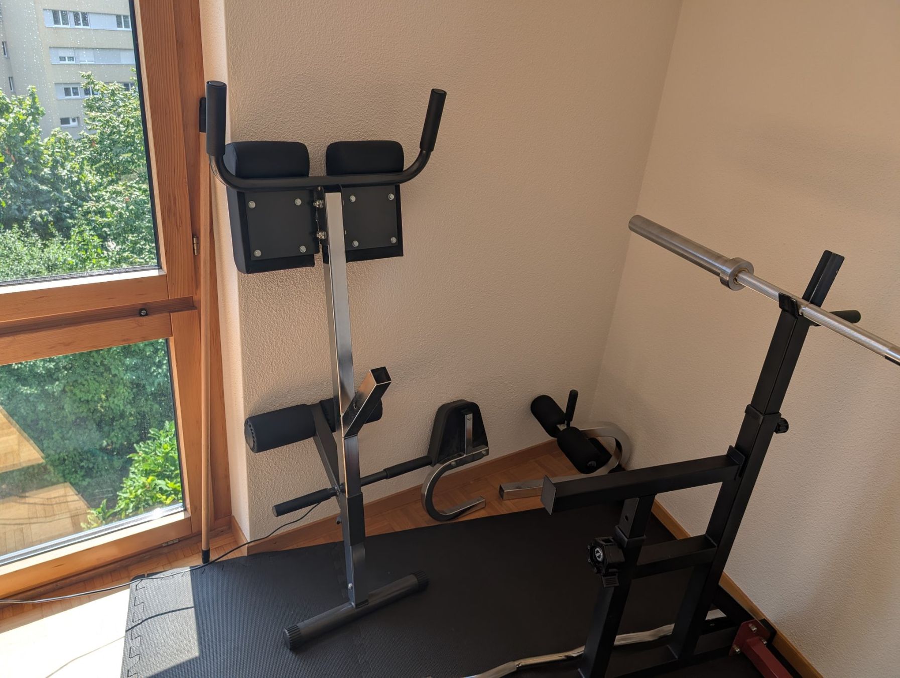 Hanteln & Gewichte: Home Gym komplett Ironmaster + Rack + Hanteln | Cham – Gebraucht aus Cham von aaron_pina 8