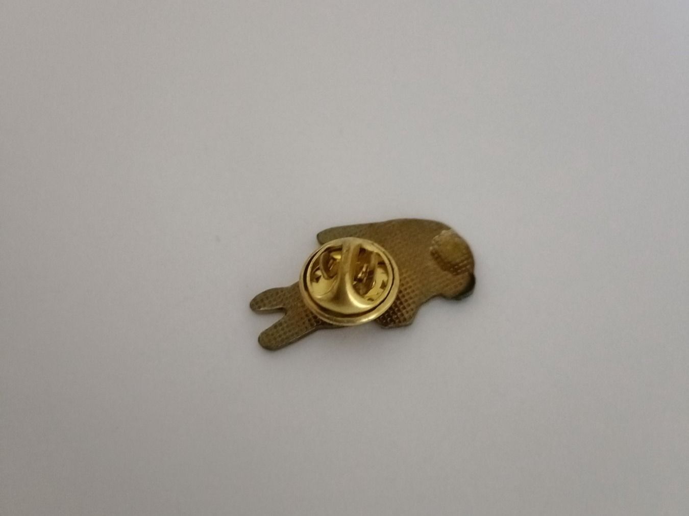 Placchette & Badge: Pin Krokodil Florida - Box 25 – Usato da Köniz venduto da Pinscollect 1