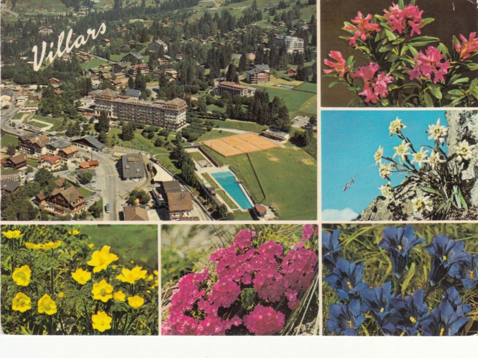 Cartoline postali: Villars 1977 – Usato da Bürglen TG venduto da StampGraf