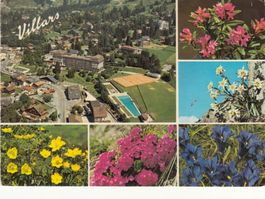 Villars 1977