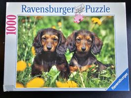 Ravensburger Puzzle 1000 Teile - Dackelwelpen