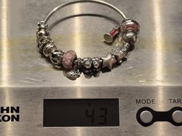 Pandora Armreif Charms 925er Silber Schmuck Schloss
