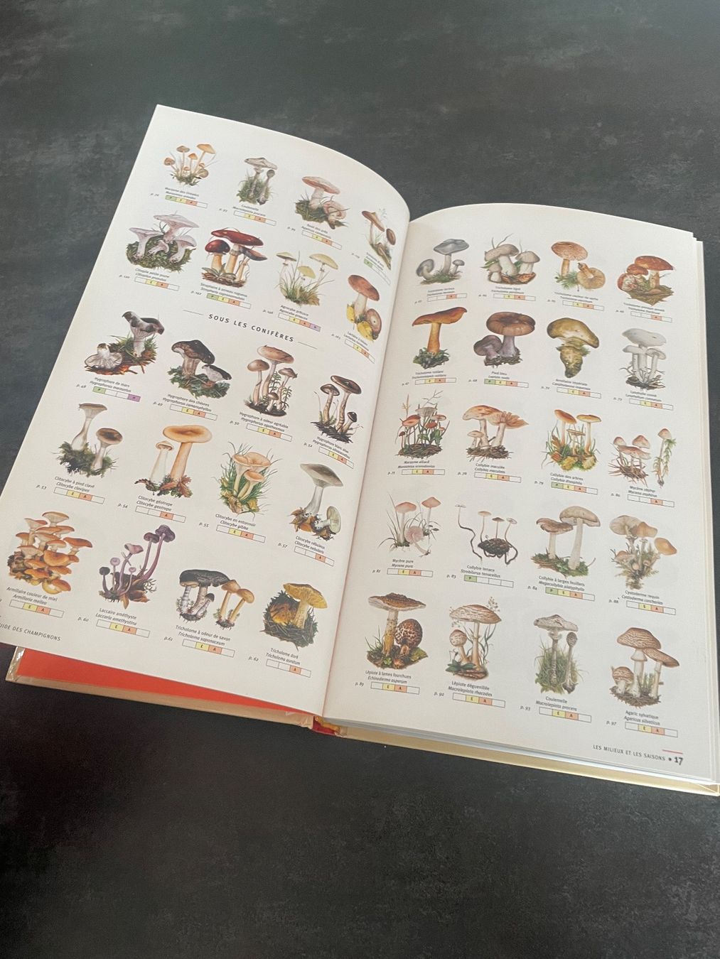 Libri: Livre Guide des Champignons – Usato da Vallamand venduto da Bricbracbroc82 5