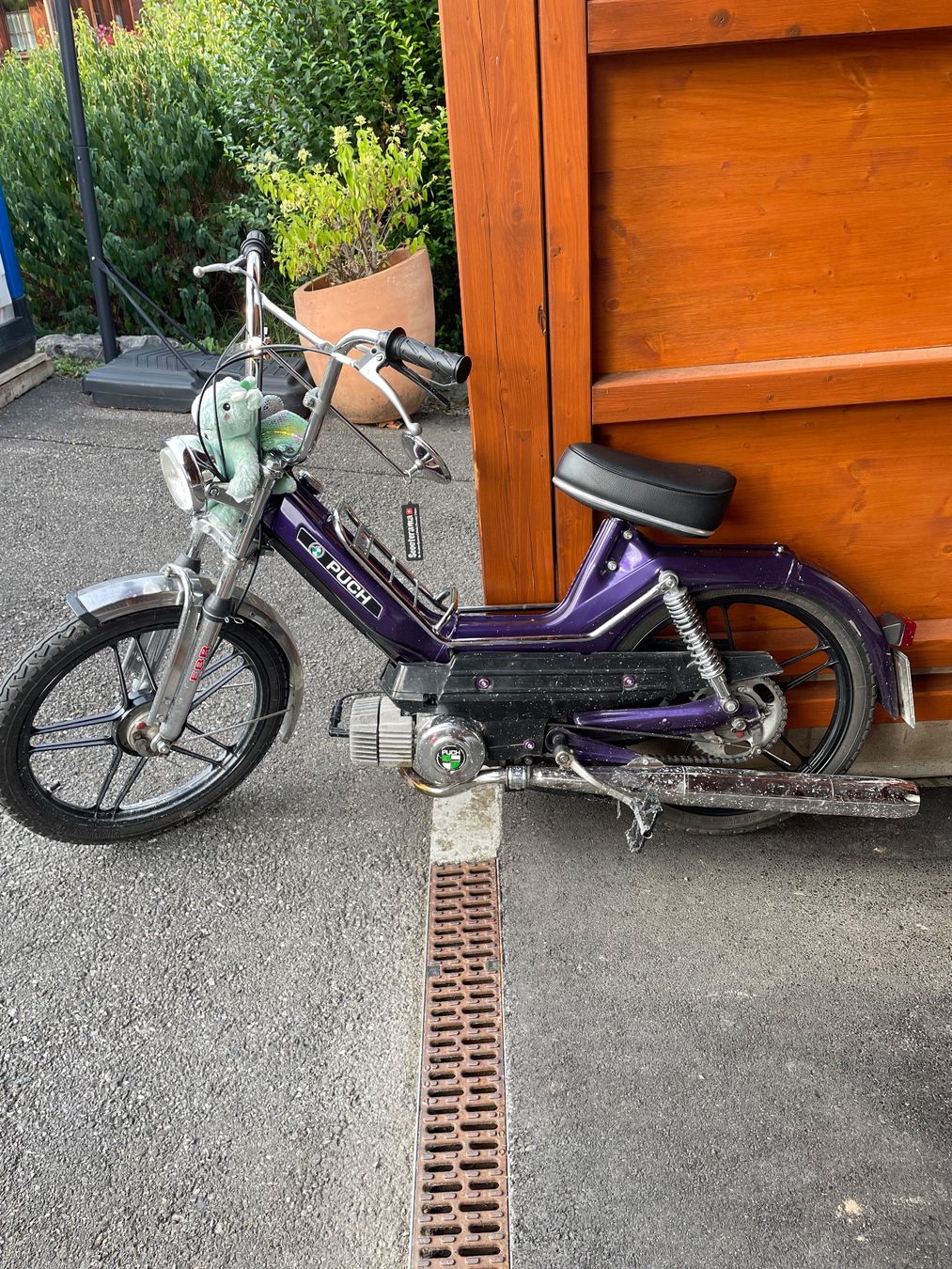 Puch Ciclomotori: Puch Maxi S, Auberginen-violet – Usato da Forst venduto da munggeli_79 4
