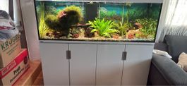 Aquarium Eheim mit weissem Unterschrank gebrauchter Zustand
