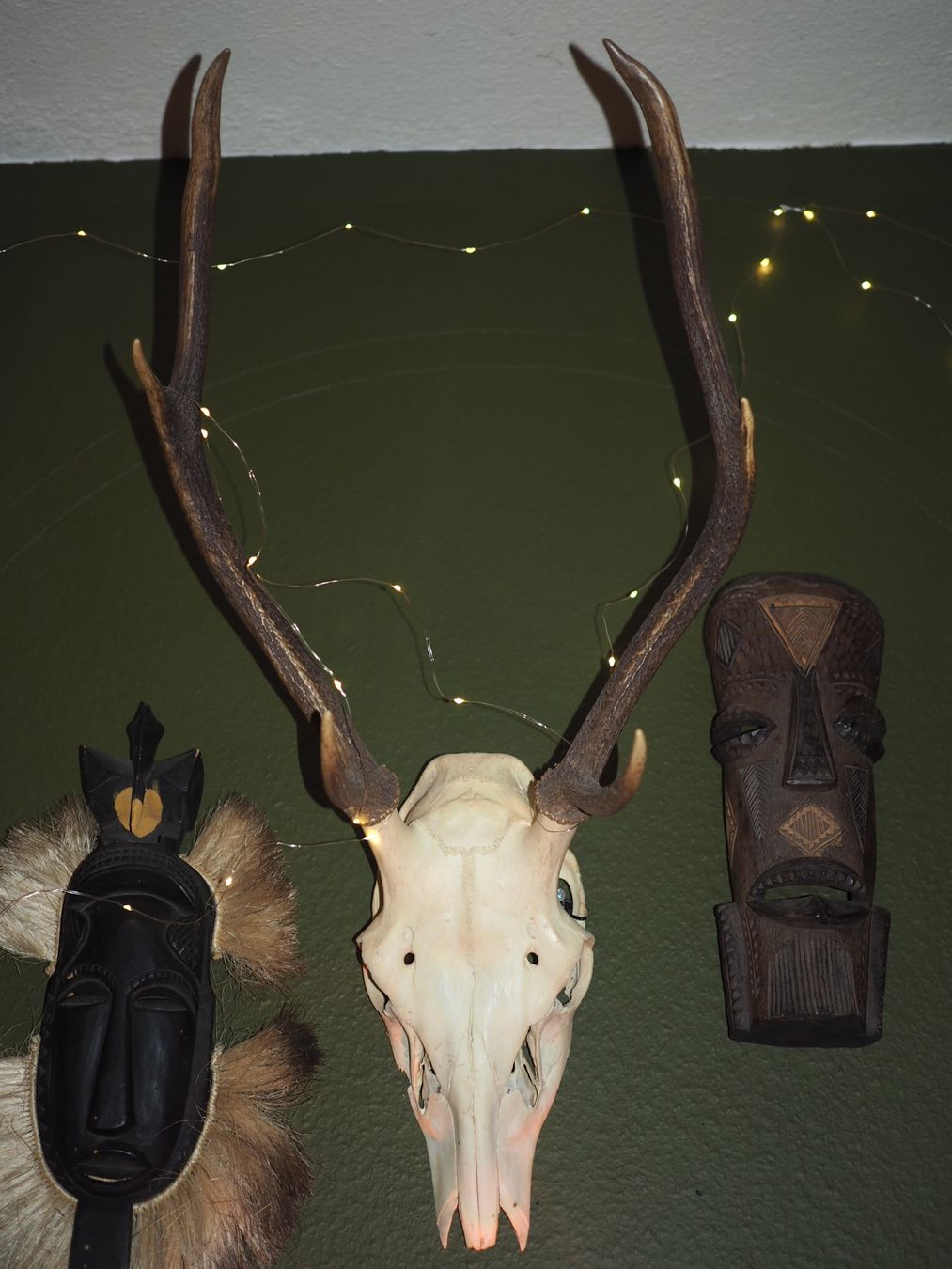 Monde des animaux: Hirschtrophäe – D'occasion à Luzern par MweziMystique 9
