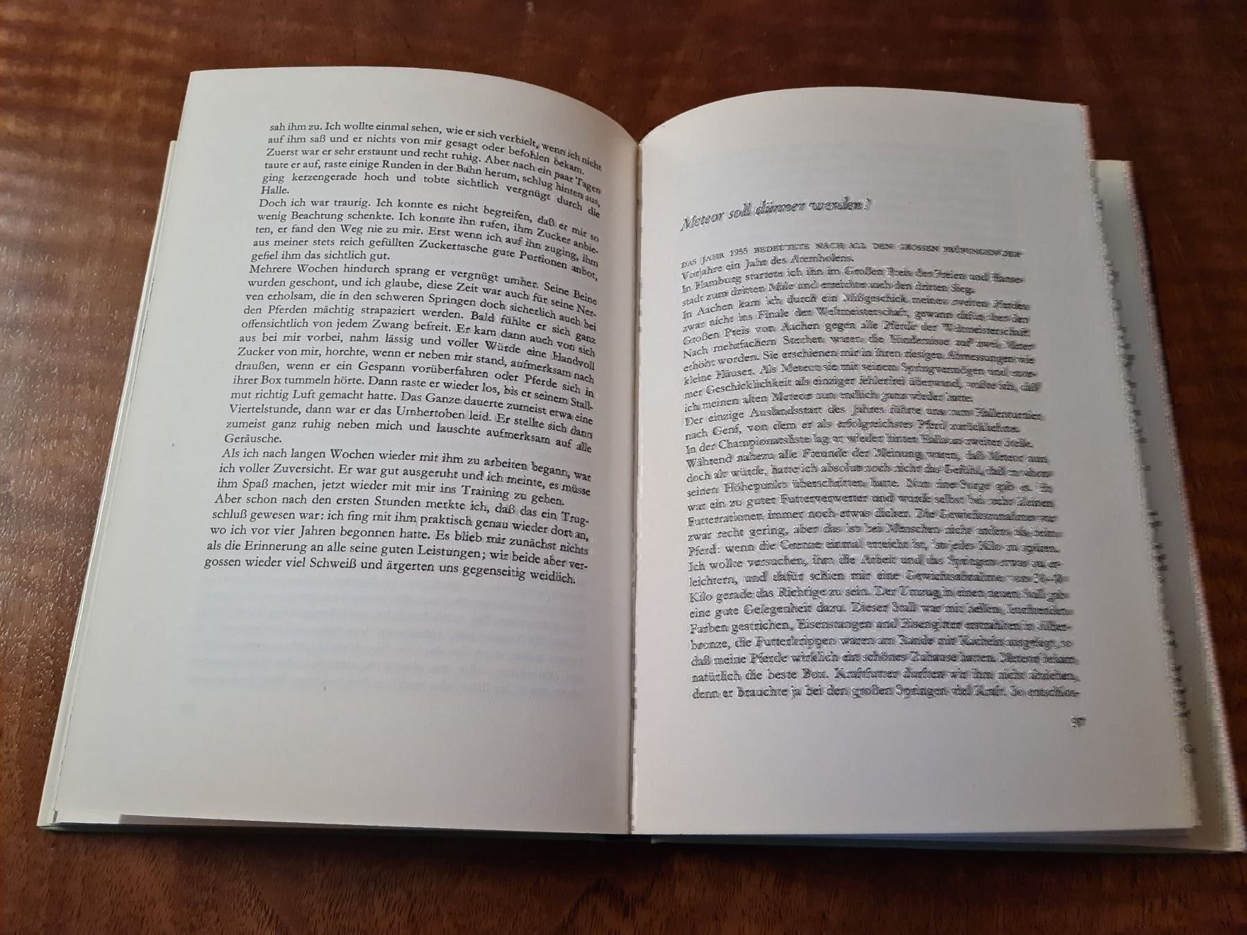 Libri: Mein Freund Meteor – Usato da Erstfeld venduto da Uhu1980 2