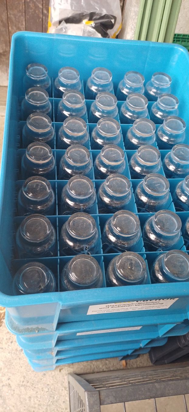 Verres: Trinkglaeser – D'occasion à Wängi par Koebi62 1