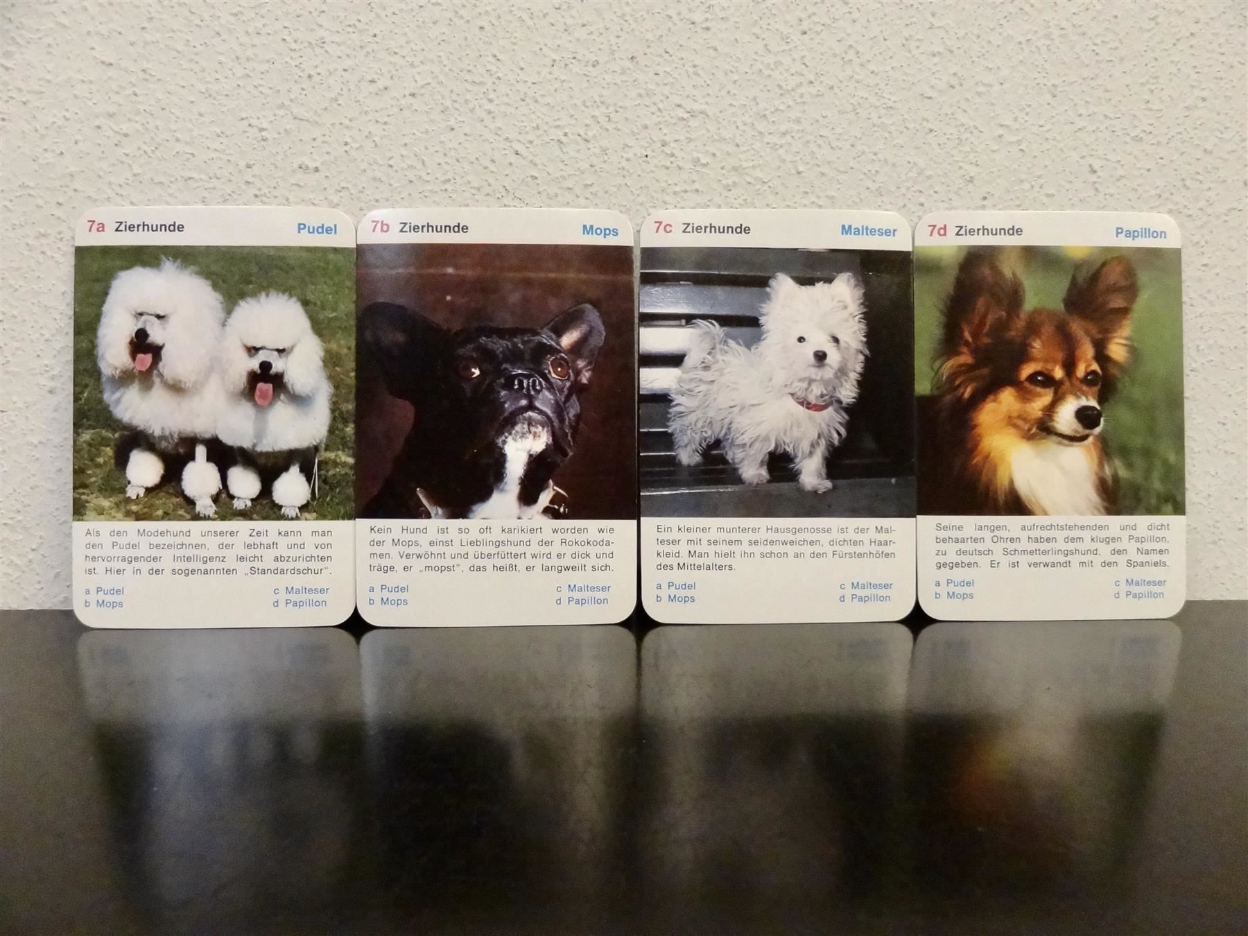 Spiele: altes Quartett TIER-QUARTETT HUNDE HUND – Gebraucht aus Kerzers von wisaundso 9