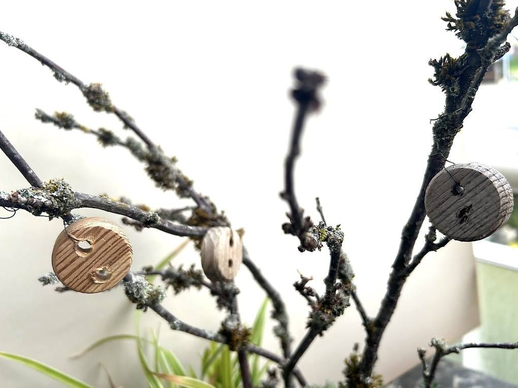 Alle Dekorationen: Bepflanzte Guetzlibüchse – Neu und originalverpackt aus Frauenfeld von Irene.Schuppli 1