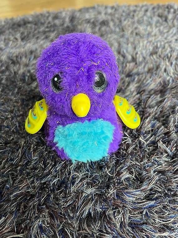 Hatchimals Giocattoli: Hatchimals Alive (2 Stück) - Neu – Nuovo (secondo la descrizione) da Oberrohrdorf venduto da Augustus5 1
